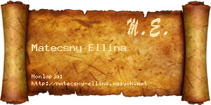 Matecsny Ellina névjegykártya